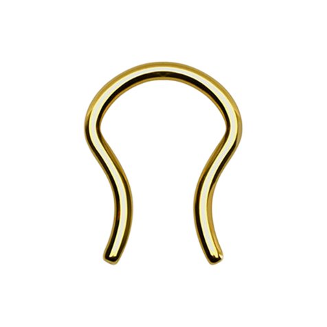 Gold-plated septum ring with titanium coating