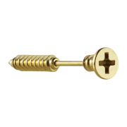Micro barbell Phillips screw, gold-plated