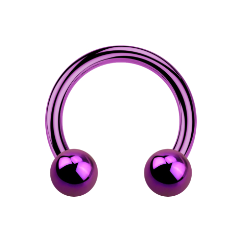 Circular barbell violet with two balls