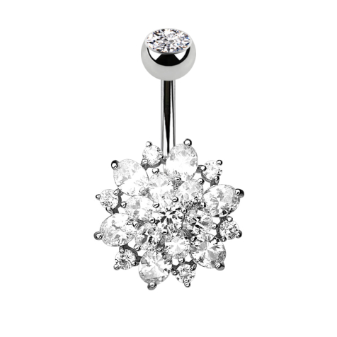 Banana silver Crystal Dahlia silver