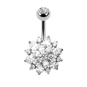 Banana silver Crystal Dahlia silver