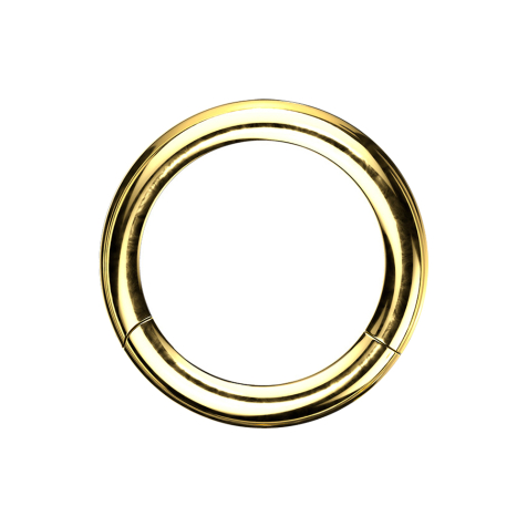 Anello a segmenti placcato oro con strato di titanio