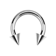 Circular Barbell argent avec deux cônes