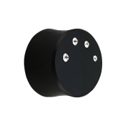 Flared Plug aus Areng Holz mit vier Kristallen