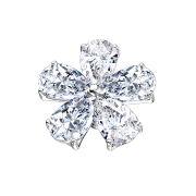Dermal Anchor argent fleur avec gouttes de cristal