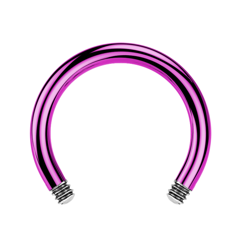 Barre Circular Barbell violette
