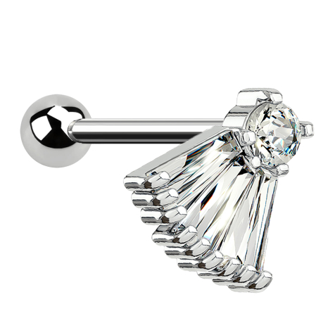 Micro Barbell silber Fächer silber