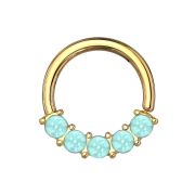 Micro Piercing Ring vergoldet front fünf...