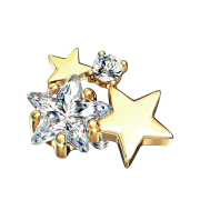 Dermal Anchor 14k doré double cristal...