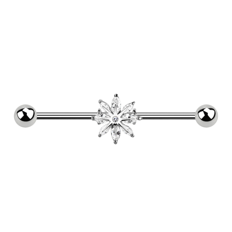 Barbell silver with snow star