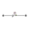 Barbell silver with flowers and leaves