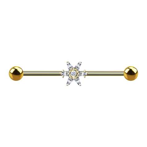 Barbell plaqué or 14k avec princesse