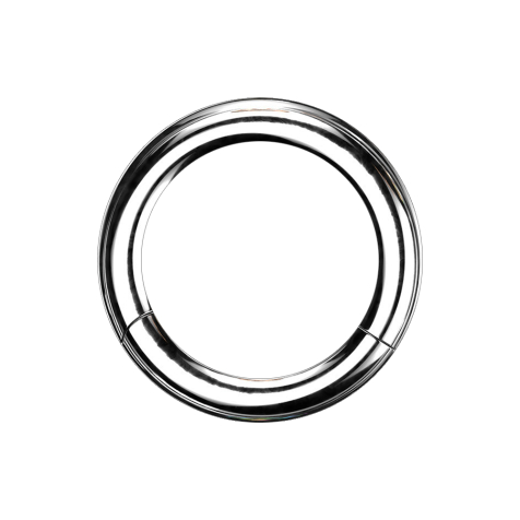 Segment ring silver