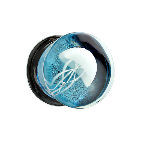 Flared Plug aus Glas Qualle