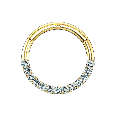 Micro anneau segment pliable 14k or front cristal argent