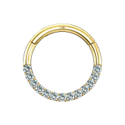 Micro anneau segment pliable 14k or front cristal argent