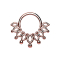 Micro segment ring hinged rose gold crown with balls