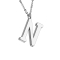 Catena dargento con ciondolo lettera N