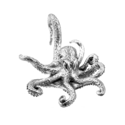 Ear weight silver octopus