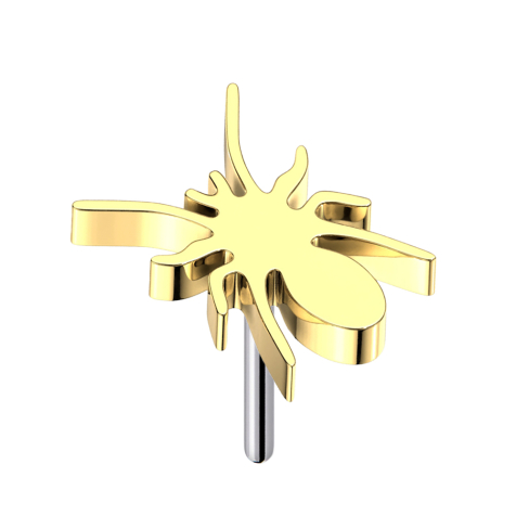 Araignée sans filetage plaquée or