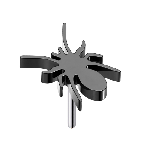 Araignée sans filet noir