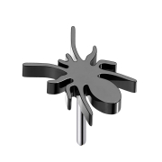 Araignée sans filet noir