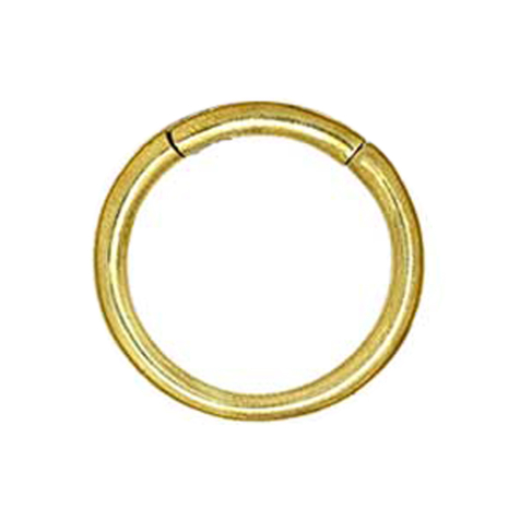 Poids doreille anneau segment pliable doré