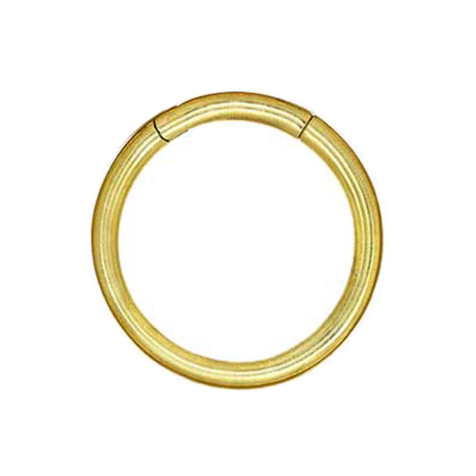 Ohrgewicht Segmentring klappbar vergoldet