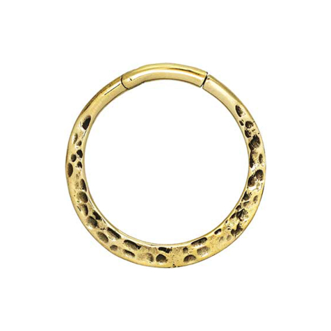 Ear weight segment ring hinged gold-plated hammered