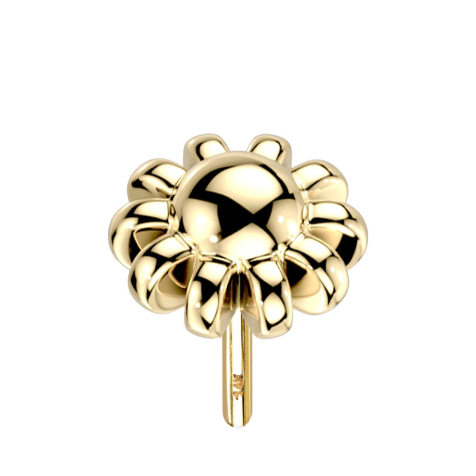 Threadless 14k gold Kugel mit Kugelrand