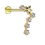 Micro Labret Innengewinde vergoldet Sternzeichen Fische...