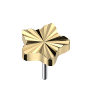Threadless Diamantschliff Scheibe Stern vergoldet