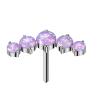 Threadless gebogen silber fünf Opale violett