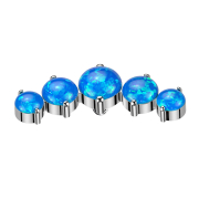 Dermal Anchor gebogen silber fünf Opale blau
