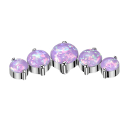 Dermal Anchor gebogen silber fünf Opale violett