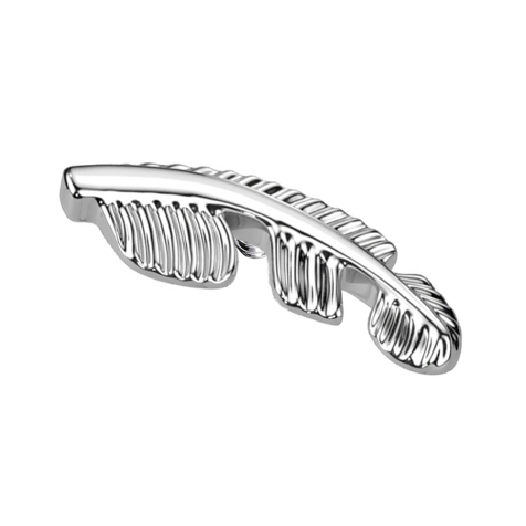 Ancoraggio cutaneo Feder argento