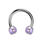Micro Circular Barbell internal thread silver with two...