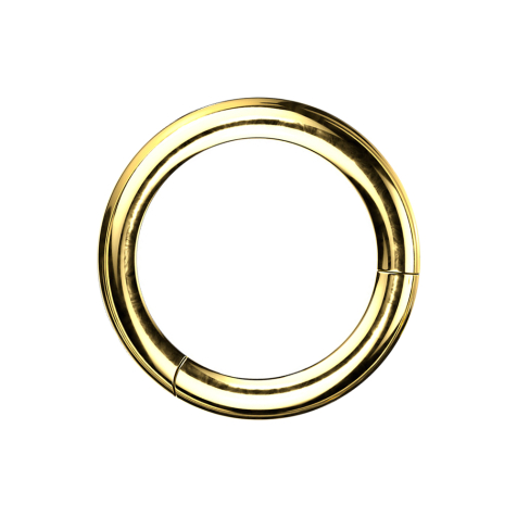 Segment ring hinged gold-plated