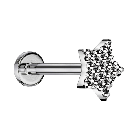 Micro Labret Innengewinde silber gepunkteter Diamantschliff Stern silber