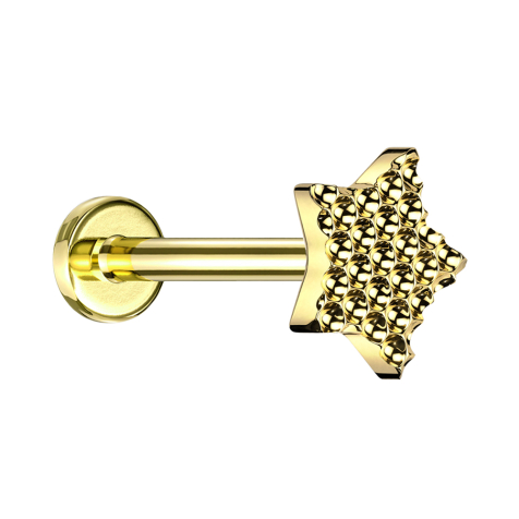 Micro labret filetage intérieur plaqué or, diamant taillé en pointes, étoile plaquée or