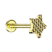 Micro Labret Innengewinde vergoldet gepunkteter...
