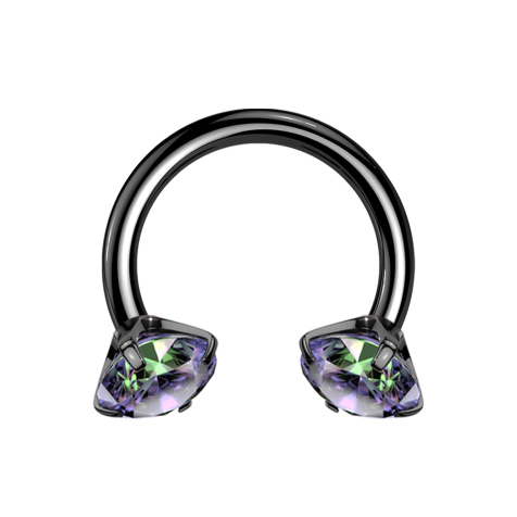 Micro Circular Barbell filetage intérieur noir deux cristaux foncés multicolores sertis