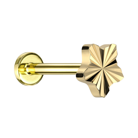 Micro Labret Innengewinde vergoldet Diamantschliff Scheibe Stern vergoldet
