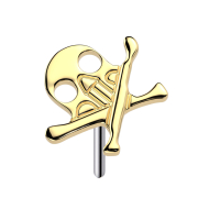 Tête de mort sans filetage avec os croisés...