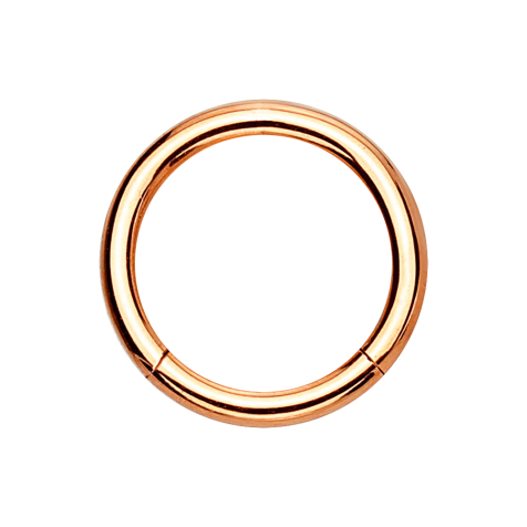 Micro segment ring hinged rose gold