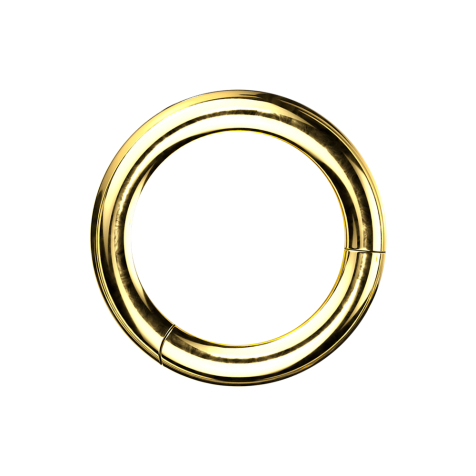 Segment ring hinged gold-plated