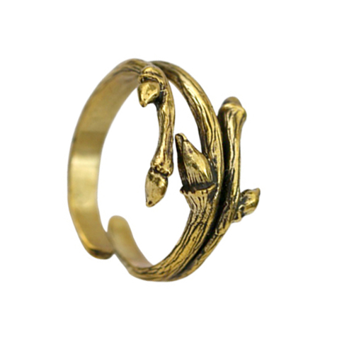 Ring vergoldet Krallen